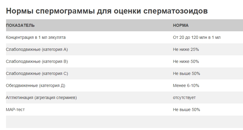 Нормы спермограммы для оценки сперматозоидов